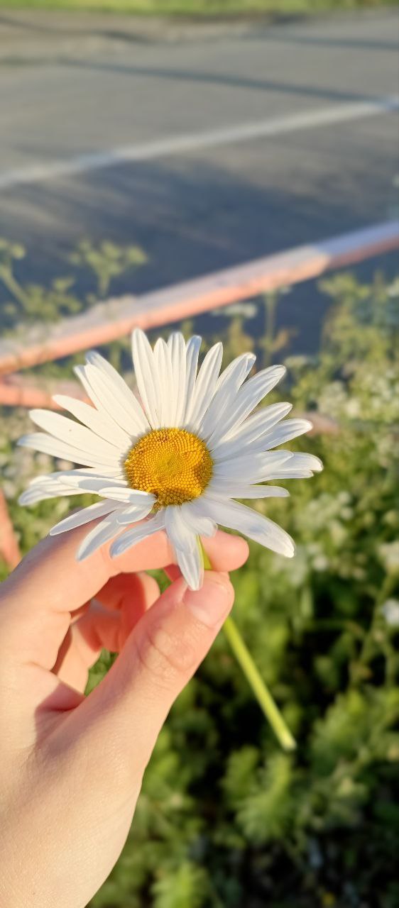 Фотоконкурс.